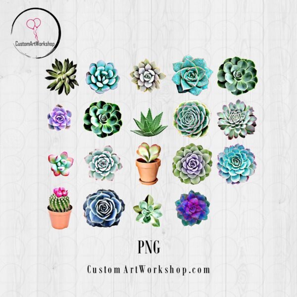 Home 5 Succulent Plants PNG File Clipart Instant Download